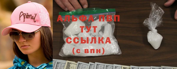 гашик Богданович