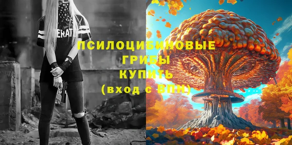 ALPHA-PVP Белокуриха