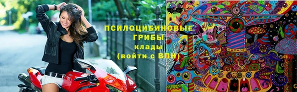 гашик Богданович